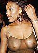 Venus Williams Breasts Nipples Titties Porn 95