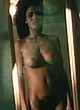 Nicole Ari Parker full frontal nude tits & pussy pics