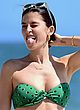 Nicole Williams busty in a tiny green bikini pics