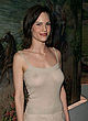 Hilary Swank posing in transparent dress pics