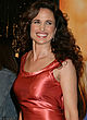 Andie MacDowell see through to boobs red dress pics