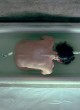 Jennifer Connelly nude and sexy in bathtub pics