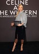 Paris Hilton oozes elegance at runway show pics
