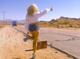 Sabrina Carpenter Sabrina Carpenter's Desert Detour: Hitchhiking in Hot Pants! pics