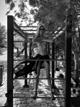 Stella Maxwell Stella Maxwell's Striking Gym Pose Raises Eyebrows pics