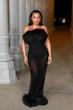 Paloma Elsesser Paloma Elsesser Dazzles in Sheer Feathered Gown at LACMA Gala pics