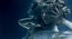 Eva Herzigova Eva Herzigova: Drowning in Glamour, or Just a Deep Dive into Fashion? pics